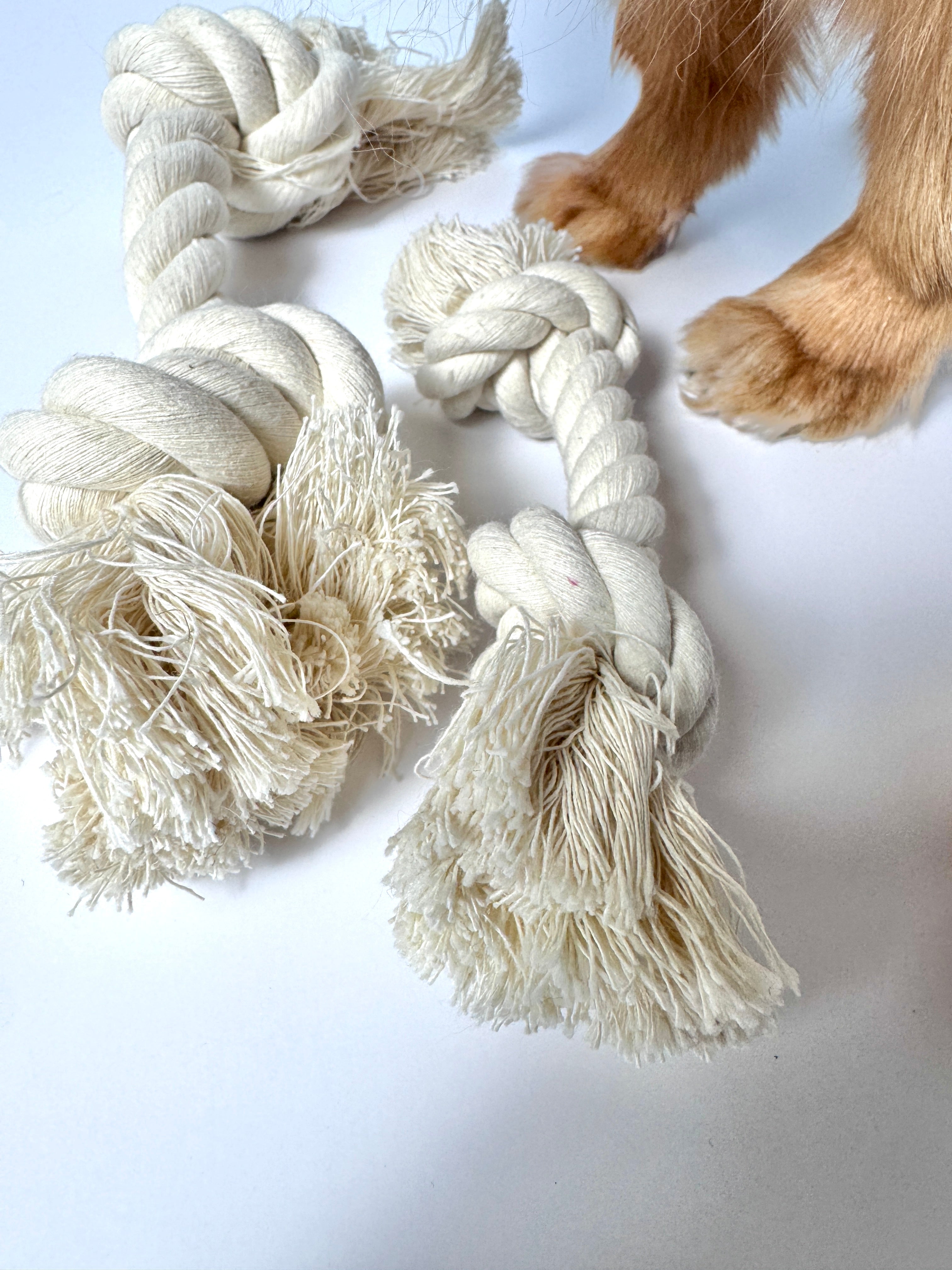 100% Cotton Rope Dog Toy - Small