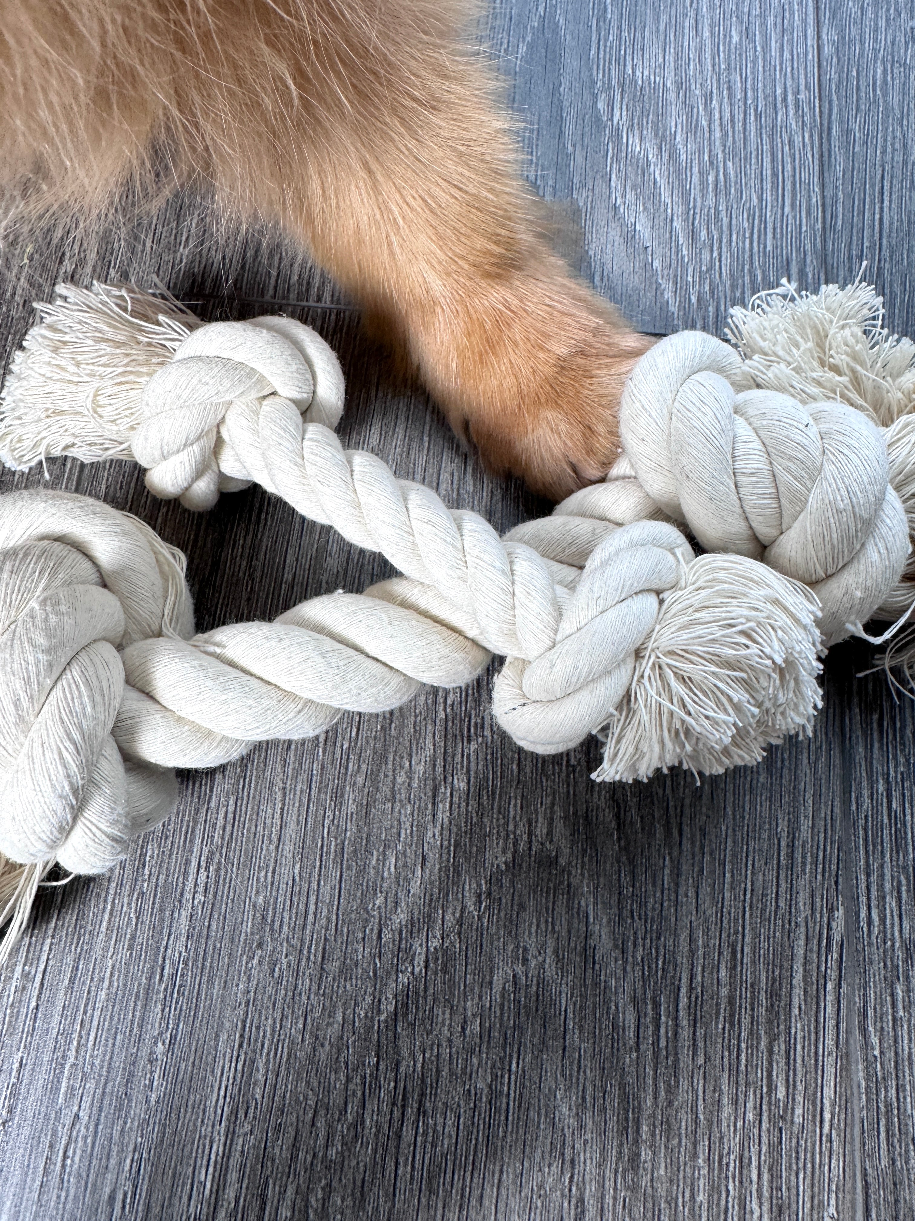 100% Cotton Rope Dog Toy - Small